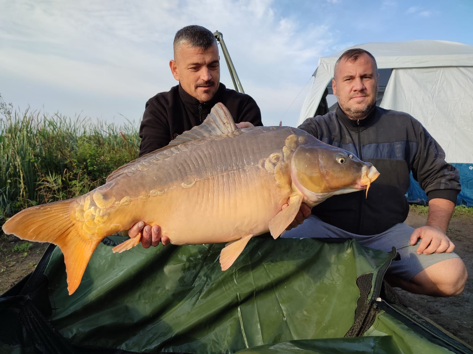 Sacosul Turcesc 2022 - IMG20220908WA0012.jpg